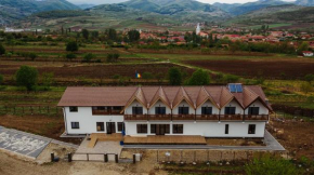 Pensiunea Casa Negrea